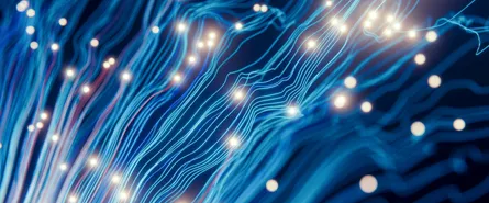 The Best AI Skill to Develop in 2026?