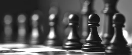 New Productivity Strategy