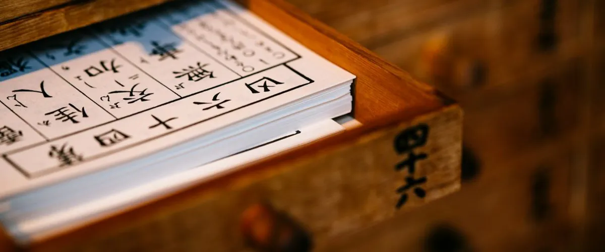 Learning Chinese - Week 12